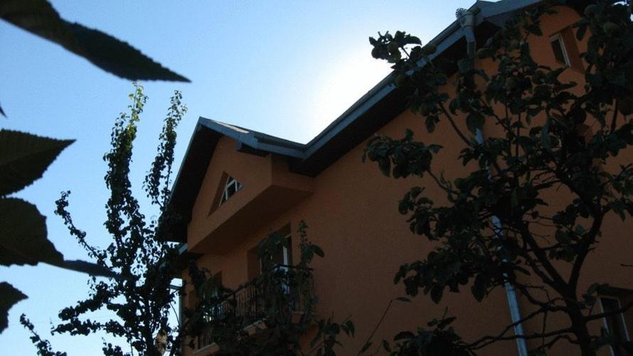 Lary Hostel Сучава Экстерьер фото
