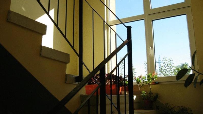 Lary Hostel Сучава Экстерьер фото