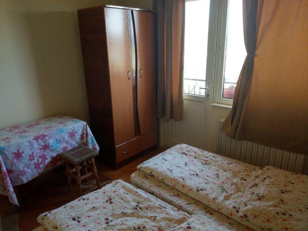 Lary Hostel Сучава Экстерьер фото